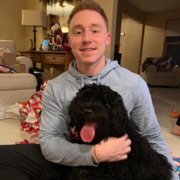 Meet your Posher, Michael - Picture 1 of 1